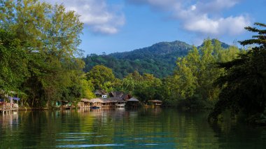 Koh Chang Tayland tropikal adasının yağmur ormanları. Yağmur ormanının yukarısından insansız hava aracı görüntüsü 