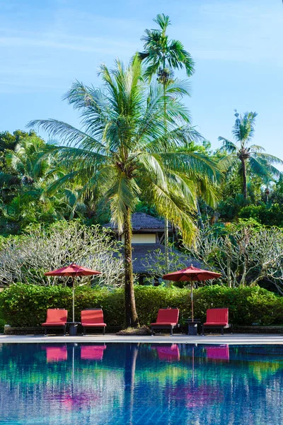 Gündüz Vakti Plaj Yatakları Palmiye Ağaçları Olan Lüks Yüzme Havuzu — Stok fotoğraf