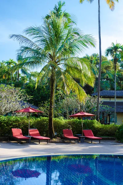 Luxe Zwembad Met Ligbedden Palmbomen Overdag — Stockfoto