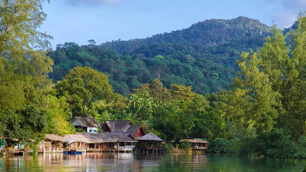 Тропические Леса Острова Чанг Таиланд Вид Сверху Тропический Лес Беспилотника — стоковое фото