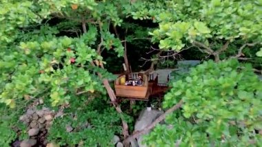 Tropikal ada Phuket Tayland 'da bir kuş ağında öğleden sonra çayı. Bir çift erkek ve kadın kuş ağında çay içiyorlar.