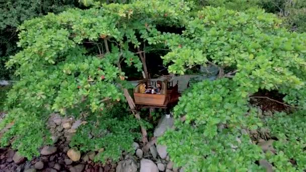 在泰国热带岛屿普吉岛的树上 一对男女在一个鸟网篮子里享用下午茶 — 图库视频影像