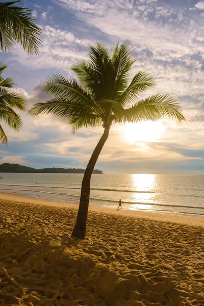 Palmbomen Tijdens Zonsondergang Het Strand Van Bang Tao Strand Phuket — Stockfoto