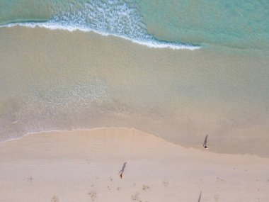 Patong plajı Phuket, plaj sandalyeleri ve palmiye ağaçları olan tropik plaj manzarası.. 