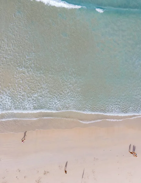 パトンビーチプーケット ビーチチェアとヤシの木と熱帯ビーチのドローンビュー — ストック写真