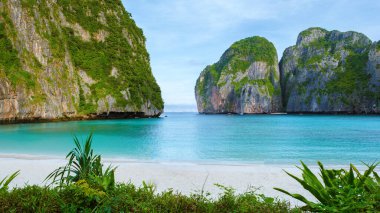 Maya Körfezi sahili Koh Phi Phi Tayland Sabahları turkuaz renkli okyanusla. Maya Körfezi 'nin boş plajı