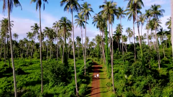 Muži Ženy Kráčí Cestě Mezi Kokosovými Palmami Ostrově Koh Mak — Stock video