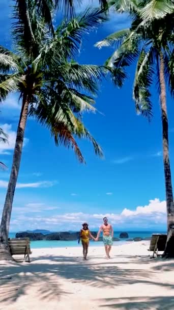 Pár Férfi Egy Trópusi Szigeten Pálmafákkal Thaiföldön Koh Kham Island — Stock videók