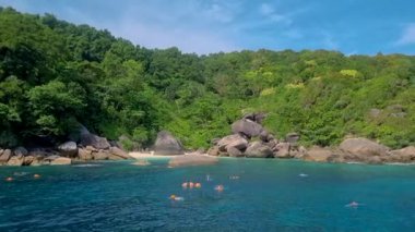 Similan Adaları 'nda insanlar Tayland' daki milli parklarda şnorkelle yüzüyor.. 