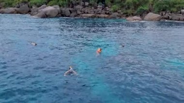 İnsanlar Similan Adaları 'ndaki Tayland Phangnga' daki milli parklarda şnorkelle yüzüyor.