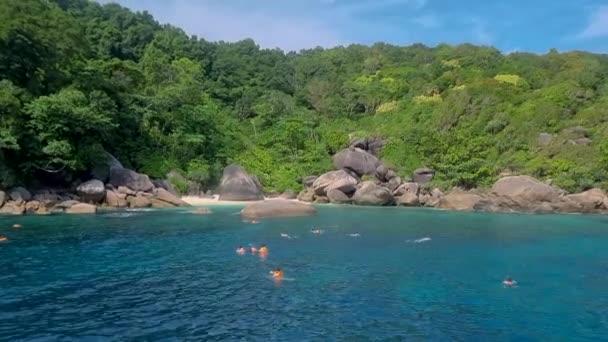 Pessoas Snorkeling Nas Ilhas Similan Islands National Park Thailand Phangnga — Vídeo de Stock