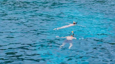 İnsanlar güneşli bir günde Similan Adaları Tayland Phangnga 'sında şnorkelle yüzerler.