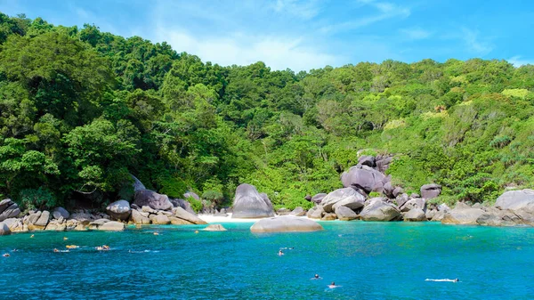 Schnorcheln Meer Der Similan Islands Thailand Phangnga Einem Sonnigen Tag — Stockfoto