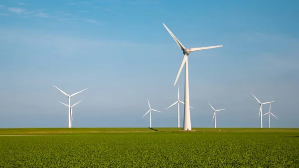 带有庄稼的绿地和蓝天绿色能源概念的风力涡轮机 — 图库照片