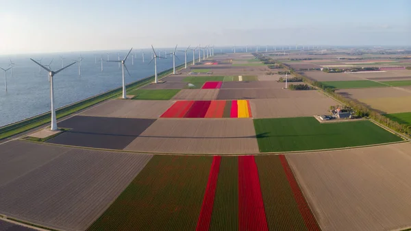 Vista Aérea Drones Parque Moinhos Vento Holanda Com Turbinas Eólicas — Fotografia de Stock