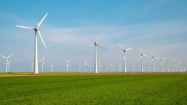 Éoliennes Générant Électricité Avec Concept Énergie Verte Ciel Bleu Aux — Photo