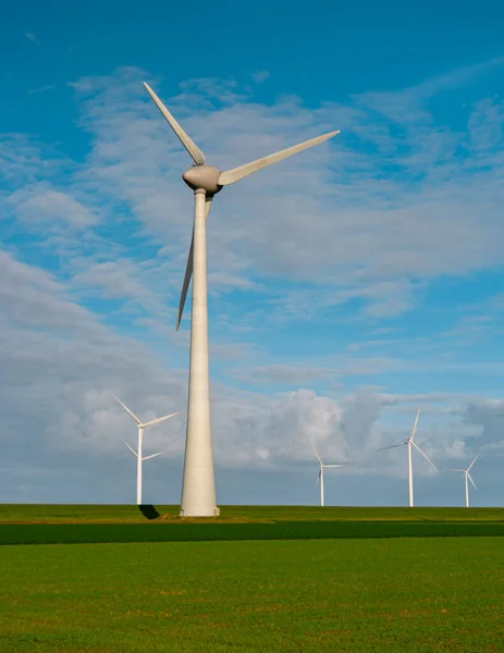 Windmill Par Wind Mill Turbines Generating Electricity Blue Sky Green — Stock Photo, Image