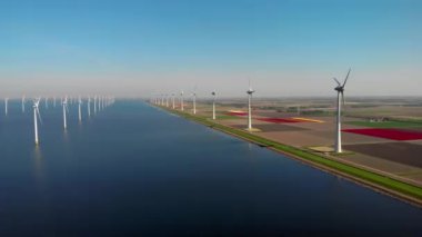 Hollanda 'da yeşil enerji üreten denizdeki yel değirmeni türbinlerinin insansız hava aracı görüntüsü ve baharda arka planda renkli lale tarlaları.