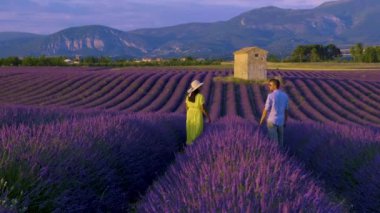 Provence, Lavanta tarlası Fransa, Valensole Platosu, Güney Fransa, Lavanta Provence 'ın renkli bir alanı. Lavanta tarlası. Avrupa. Birkaç erkek ve kadın Provence 'de tatildeler.. 