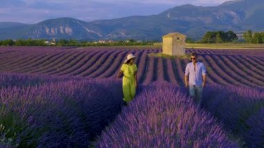 Provence, Lavanta tarlası Fransa, Valensole Platosu, Güney Fransa, Lavanta Provence 'ın renkli bir alanı. Lavanta tarlası. Avrupa. Birkaç erkek ve kadın Provence 'de tatildeler.. 
