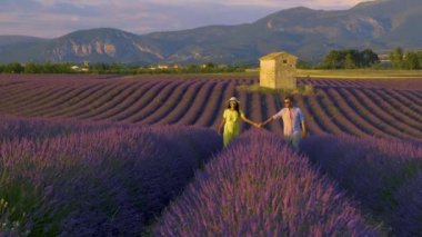 Birkaç erkek ve kadın Provence 'de tatildeler. Fransa lavanta tarlası, Valensole Platosu, Güney Fransa, Lavanta Provence 'ın renkli bir alanı. Lavanta tarlası. Avrupa. 