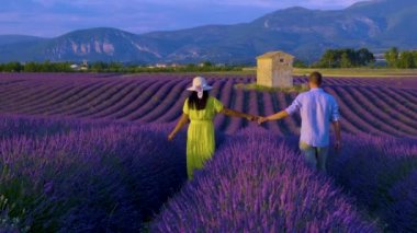 Birkaç erkek ve kadın Provence 'de tatildeler. Fransa lavanta tarlası, Valensole Platosu, Güney Fransa, Lavanta Provence 'ın renkli bir alanı. Lavanta tarlası. Avrupa. 