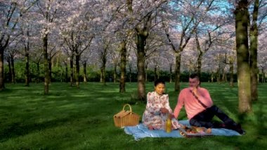 Kiraz Çiçeği Parkı 'nda birkaç piknik. Hollanda 'da ilkbaharda çiçek açan kiraz ağaçları ve yeşil çimlerle muhteşem manzaralı bir park. Kiraz ağacının pembe çiçekleri Amsterdamse Bos