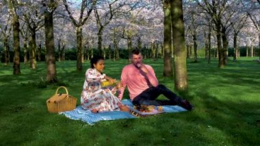 Kiraz Çiçeği Parkı 'nda birkaç piknik. Hollanda 'da ilkbaharda çiçek açan kiraz ağaçları ve yeşil çimlerle muhteşem manzaralı bir park. Kiraz ağacının pembe çiçekleri Amsterdamse Bos