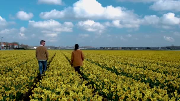 Paar Einem Narzissenblumenfeld Frühling Den Niederlanden Männer Und Frauen Einem — Stockvideo