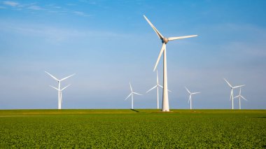 Hollanda 'da yel değirmeni türbinleri olan yel değirmeni parkı, yeşil çimen tarlası olan yeşil enerji.