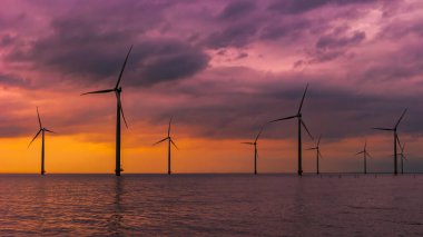 Hollanda 'da rüzgar enerjisi parkının hava manzaralı yel değirmeni türbinleri olan bir parkta gün batımı
