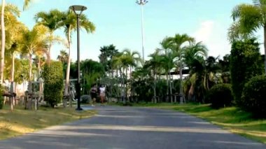 Pattaya Tayland 'da halka açık bir parkta koşan iki Asyalı kadın egzersizi. Kadın arkadaşlar koşuyor. Taylandlı olgun bir kadın şehirde palmiye ağaçlarıyla parkta egzersiz yapıyor.
