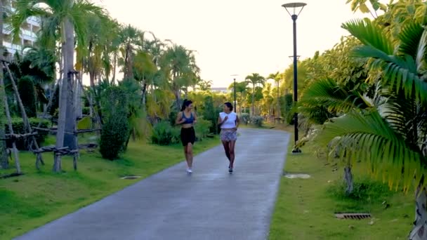 パタヤタイの公園で走っている2人のアジア人女性 女性の友人はヤシの木と緑の公園でジョギングを練習します — ストック動画