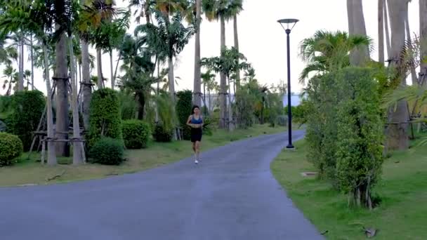 パタヤのヤシの木がある緑の公園で走るアジアの女性タイ — ストック動画