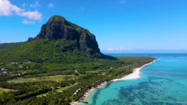 Le Morne plajı Mauritius Tropikal plajı palmiye ağaçları ve beyaz kum mavisi okyanus tropikal plajı. Mauritius Le Morne