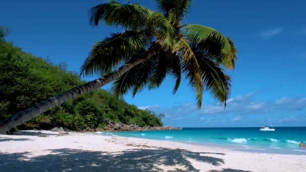 Una Palmera Colgante Playa Anse Lazio Isla Praslin Seychelles — Vídeo de stock