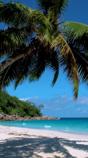 Uma Palmeira Pendurada Praia Anse Lazio Ilha Praslin Seychelles — Vídeo de Stock