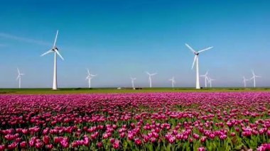 Açık deniz yel değirmeni parkı, bulutlu ve mavi gökyüzü, okyanus havası manzaralı rüzgar türbini Flevoland Hollanda Ijsselmeer. Yeşil enerji. 