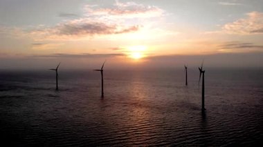 Gün batımında kıyıdan uzak yel değirmeni parkı, okyanus manzaralı yel değirmeni parkı rüzgar türbini Flevoland Hollanda Ijsselmeer. Yeşil enerji. 