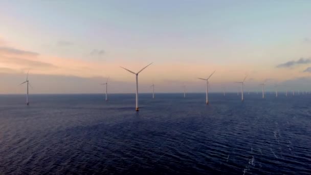 Günbatımında Yel Değirmeni Parkı Okyanus Manzaralı Rüzgar Türbini Flevoland Hollanda — Stok video