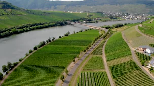 德国贝恩卡斯特尔 库斯河畔的葡萄园 山中莫萨尔河畔著名的酿酒中心 — 图库视频影像