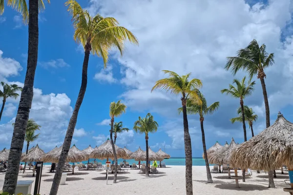 Palm Beach Αρούμπα Καραϊβικής Λευκή Μεγάλη Αμμώδη Παραλία Φοίνικες Στις — Φωτογραφία Αρχείου