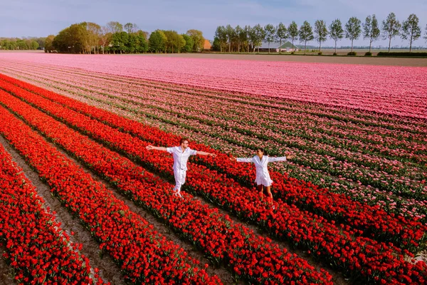 Пара Мужчин Женщин Цветочном Поле Нидерландах Весной Оранжево Красное Поле — стоковое фото