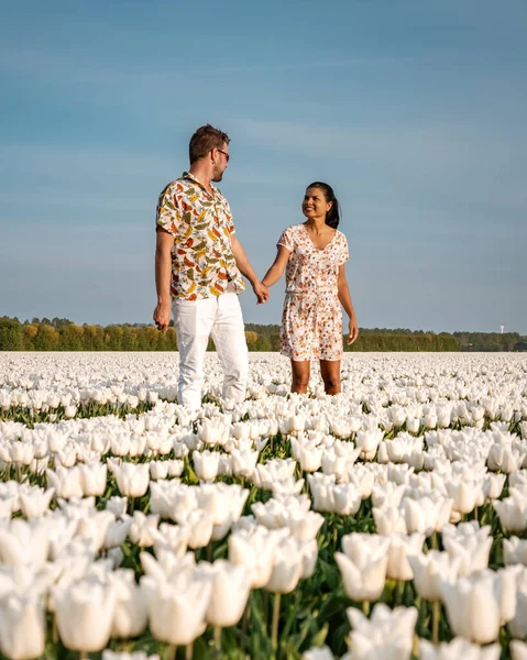 A couple of men and women in a tulip field during Spring in the Netherlands