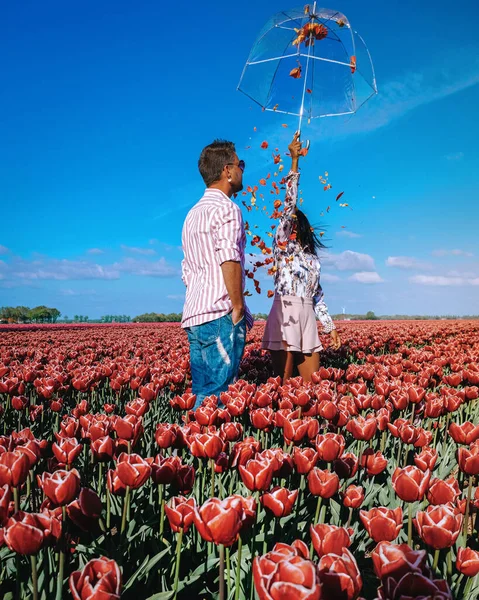 A couple of men and women in a tulip field during Spring in the Netherlands