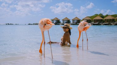 Plajda pembe flamingolu Aruba plajı, Aruba Adası Karayipleri 'nde flamingo. Sahilde renkli bir flamingo, kumsalda orta yaşlı bir kadın ve erkek.