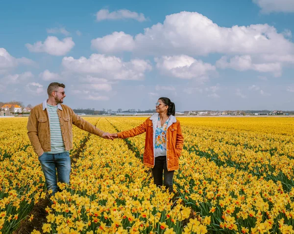 黄色の花畑 黄色の花壇を歩くカップルオランダの春の間の黄色のダフォディルの花春の間のリスト — ストック写真