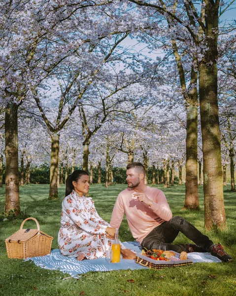 A couple picnic in the park during Spring in Amsterdam Netherlands, a blooming cherry blossom tree in Amsterdam, men and woman walk in the park forest during Spring Netherlands