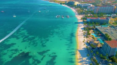 Palm Beach Aruba Karayipleri, Aruba Antilleri 'nde palmiye ağaçları olan beyaz kumlu plaj, insansız hava aracı manzarası.