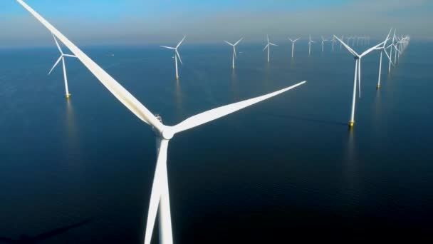 Drone View Windmill Park Ocean Aerial View Wind Turbine Flevoland — Stock Video